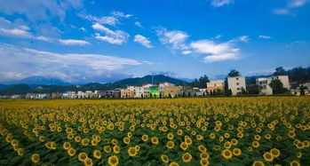 開發農旅項目怎么 拿地 最全報批流程請收好