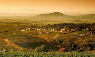 鄉村旅游與傳統農業實現融合發展 4大要點 5大模式