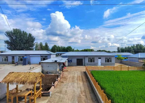 堅持 農文旅 融合發展 奏響鄉村振興 協奏曲