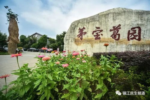 多項產品被列入國家星火計劃,鎮江這個旅游示范點厲害了