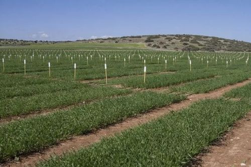 青州地主網(wǎng) 首個國家級農(nóng)業(yè)綜合試驗區(qū)落戶山東 15大紅利 下一個會是