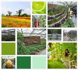 超詳細的農(nóng)業(yè)公園概念及規(guī)劃方法 ppt