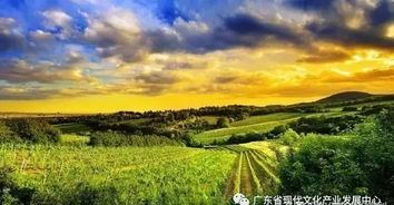 文化 農業(yè) 旅游 一場農業(yè)文旅小鎮(zhèn)大爆炸