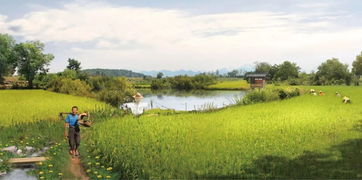 城 啟丨如何從 景點旅游 走向 全域發(fā)展 貴安櫻花園的全域理念