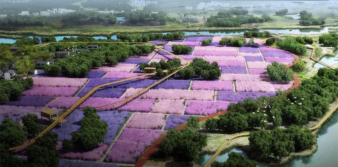 現(xiàn)代農業(yè)產業(yè)園,開發(fā)模式與五大運營模式 !