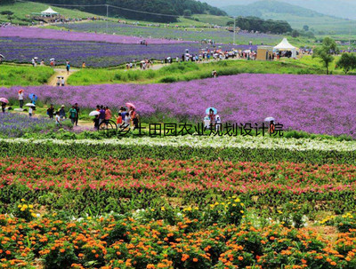 休閑農業(yè)有哪些發(fā)展案例可以借鑒?