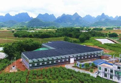 在工廠里種田!清遠(yuǎn)1個(gè)育秧中心=1.2萬(wàn)畝田需求