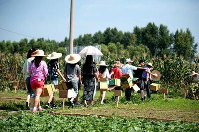 日本農(nóng)業(yè)精耕細(xì)作是被逼無(wú)奈,臺(tái)灣又何嘗不是?