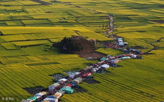 農(nóng)業(yè)現(xiàn)代化的發(fā)展離不開農(nóng)業(yè)全新理念的引領(lǐng)