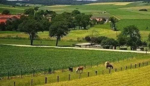 田園綜合體 怎么搞 我們整理了一些的經驗
