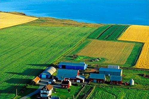 什么是家庭農場 支持農業轉型家庭農場,具體會有什么好處