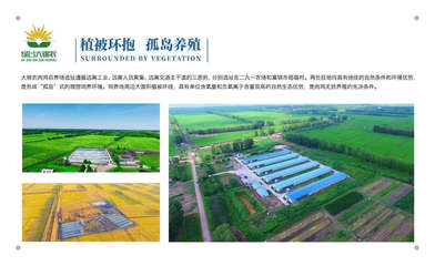 黑龍江大錦農(nóng)農(nóng)業(yè)開(kāi)發(fā)