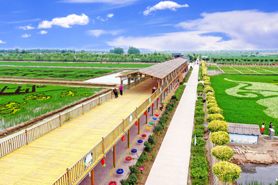 【我們的&ldquo;金飯碗&rdquo;②】四十里店村:魚(yú)米之鄉(xiāng)新時(shí)尚