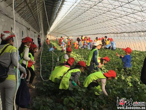 河北省推出32條系列休閑農業與鄉村旅游精品線路