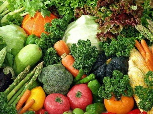 榆林市農產品開發公司優秀企業推薦