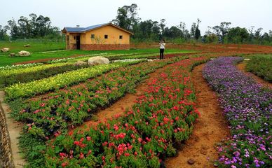 農業+旅游+康養綜合農旅產業化,如何進行特色創意規劃?