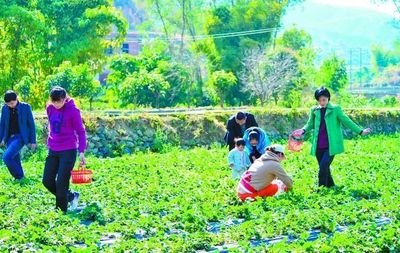 見證發(fā)展!&ldquo;數(shù)&rdquo;說仁和區(qū)改革開放40年的經(jīng)濟社會發(fā)展成就