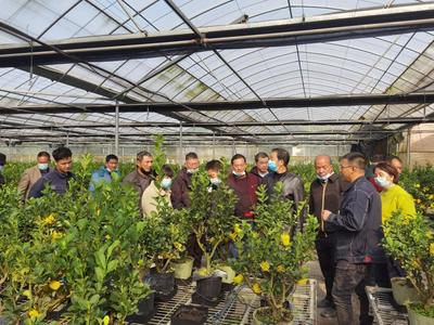 外出實踐學習,助推鄉(xiāng)村振興