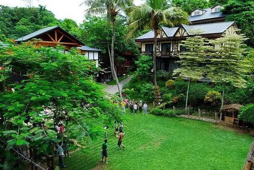 休閑農(nóng)業(yè) 特色小鎮(zhèn)如何規(guī)劃設計與開發(fā)