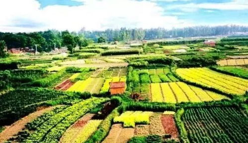 國家級田園綜合體的十大開發(fā)模式 農(nóng)業(yè)與旅游業(yè)結合