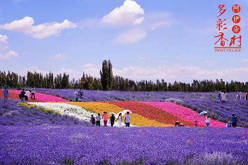 農(nóng)秀才 農(nóng)業(yè)農(nóng)村部推薦100個(gè)休閑農(nóng)業(yè)和鄉(xiāng)村旅游精品景點(diǎn)線路
