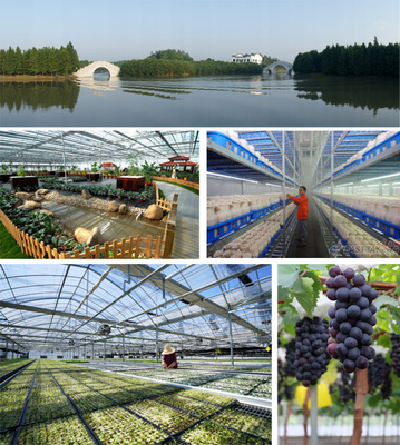 五四公司以五大舉措奏響殷實(shí)農(nóng)場建設(shè)最強(qiáng)音