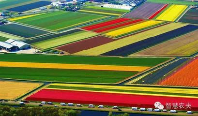 農(nóng)業(yè)邂逅旅游,讓農(nóng)民的收入翻好幾倍-