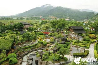 厲害了湖州的這個(gè)村 今天這里開(kāi)了國(guó)家級(jí)的大會(huì)