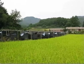 國(guó)外鄉(xiāng)村旅游開(kāi)發(fā)模式及案例解析