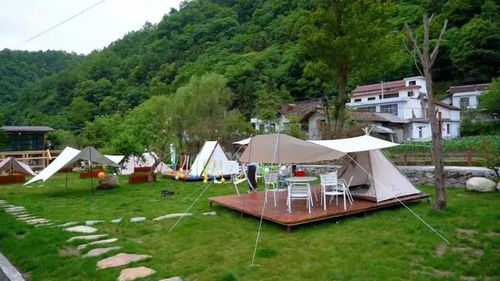 又出圈了 漢中這條火爆到家的精品研學(xué)游路線,你去打卡了嗎