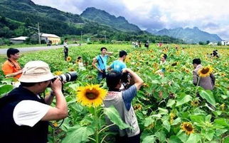 2016年中國休閑農業十五大事件