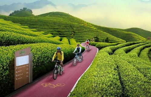 創藝園分享 特色農業旅游小鎮開發的6大項目類型