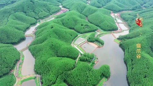 2020年度省級休閑農業與鄉村旅游示范鎮示范點公示 高要兩處上榜，助推農業旅游開發