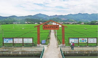 羅定泗綸鎮 農業旅游開發助推全省休閑農業與鄉村旅游示范鎮建設